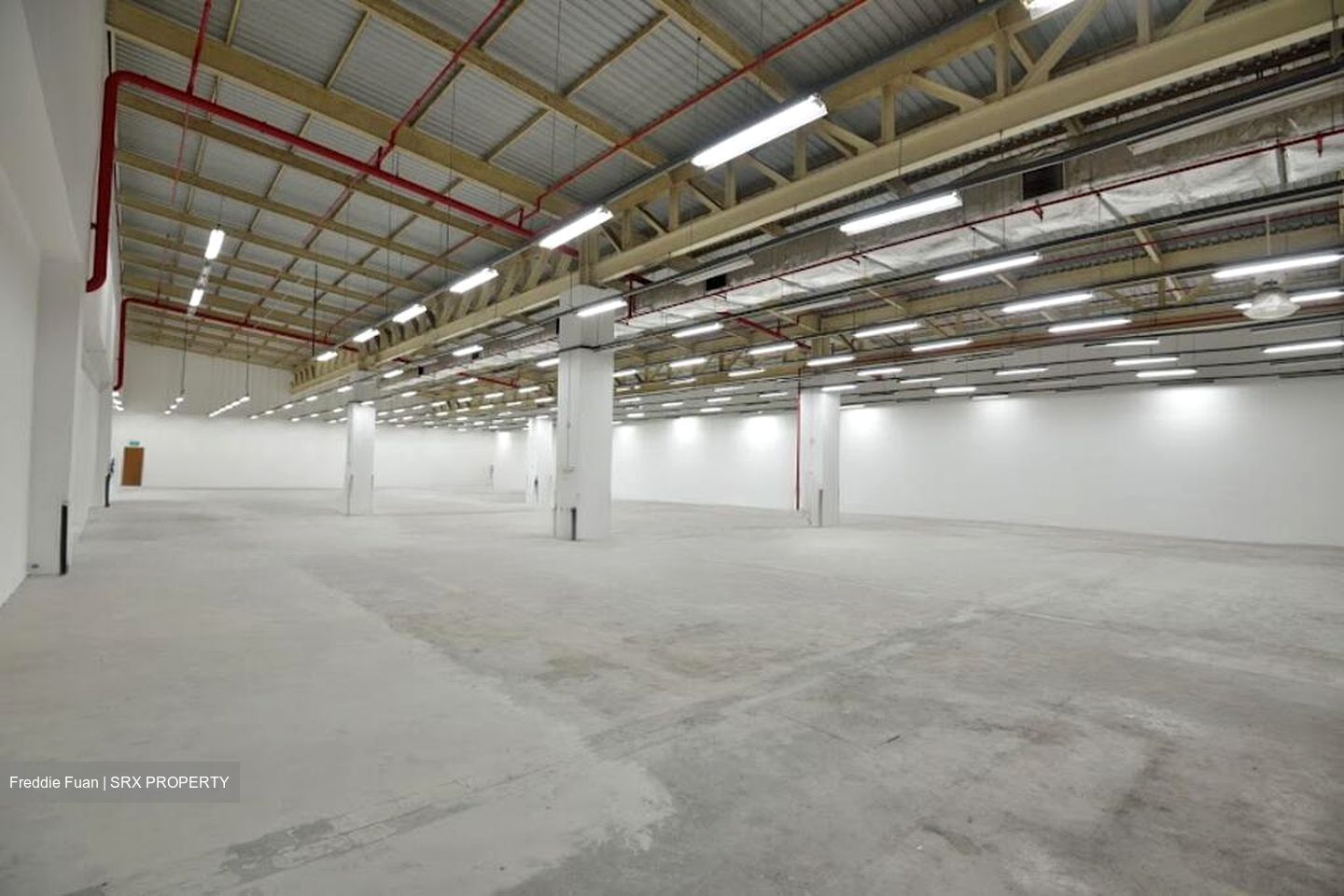 Logistech (D17), Warehouse #496048961
